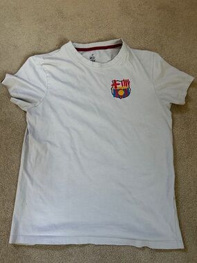 OFFICIAL FC Barcelona Team Crest Light Gray T-Shirt with Artsy Graphic on Back